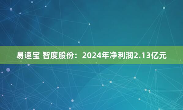 易速宝 智度股份：2024年净利润2.13亿元