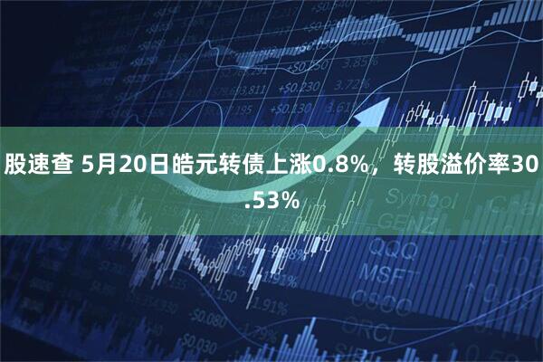 股速查 5月20日皓元转债上涨0.8%，转股溢价率30.53%