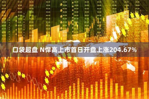 口袋超盘 N悍高上市首日开盘上涨204.67%